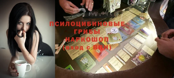 прущие грибы Новокубанск