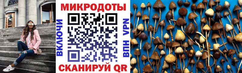 где купить наркоту  Солигалич  Псилоцибиновые грибы Cubensis 